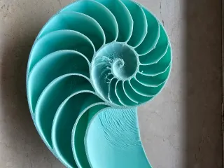 Nautilus shell mod