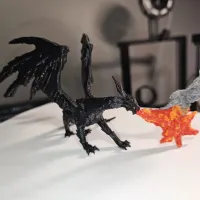 Black Dragon-4