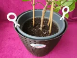 Plant Pot Lifter-1