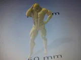 lichaam biulder-0