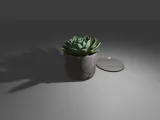 Small Plant Pot-0