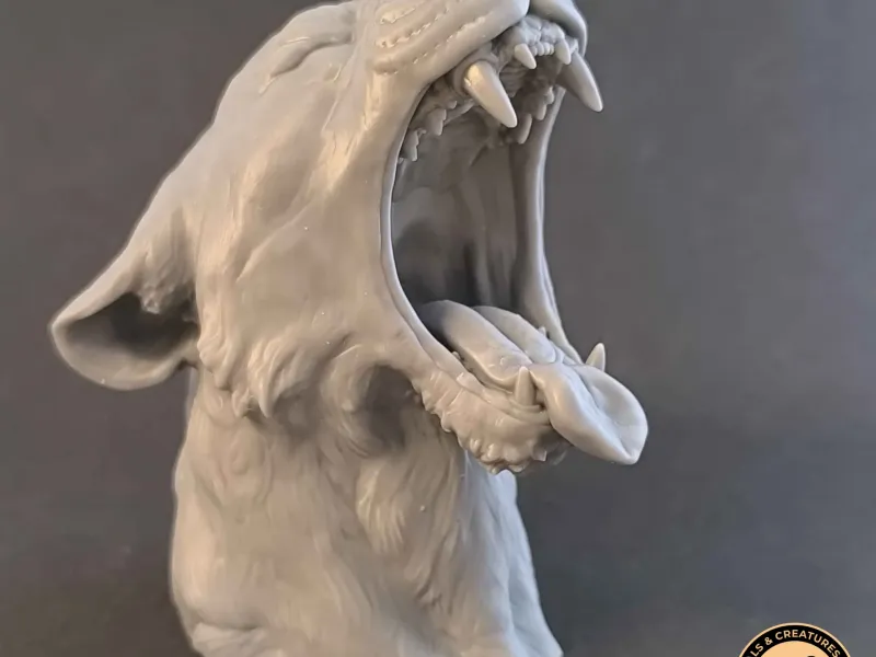 Lioness yawns