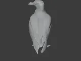 Gull-1
