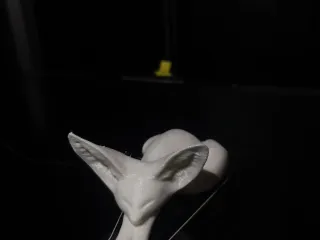Fennec Fox