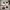 Hollow Knight - Der Ritter: Mehrfarbiges 3D-Modell!