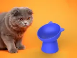 Cat Shape Pet Bowl,Elevated Tilted,Pet Decor Functional Bowl-2