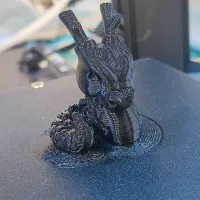 Cali-Dragon-1