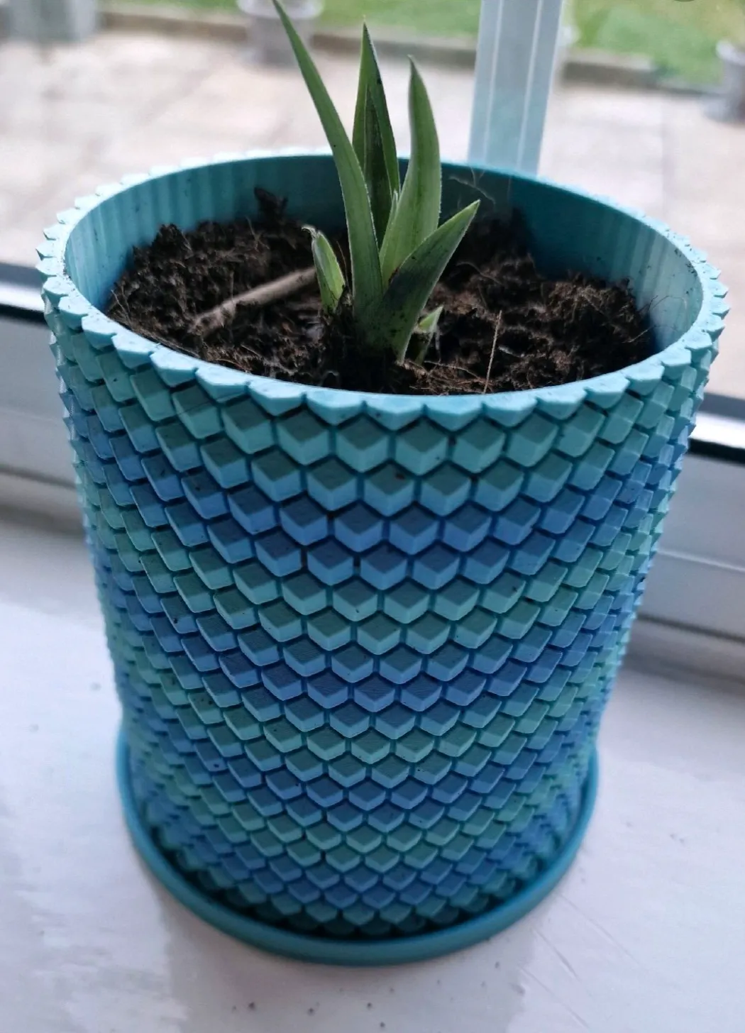 Flower Pot with HoneyComb