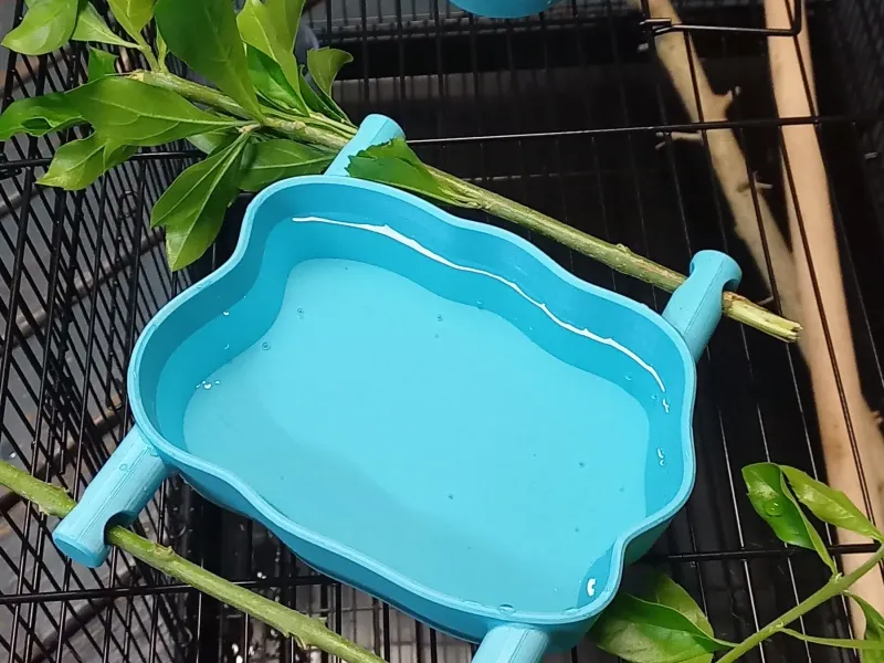 Alimentador de pássaros e tigela de água