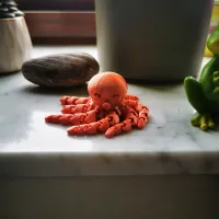 Cute Mini Octopus -3