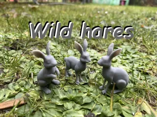 Wild hares