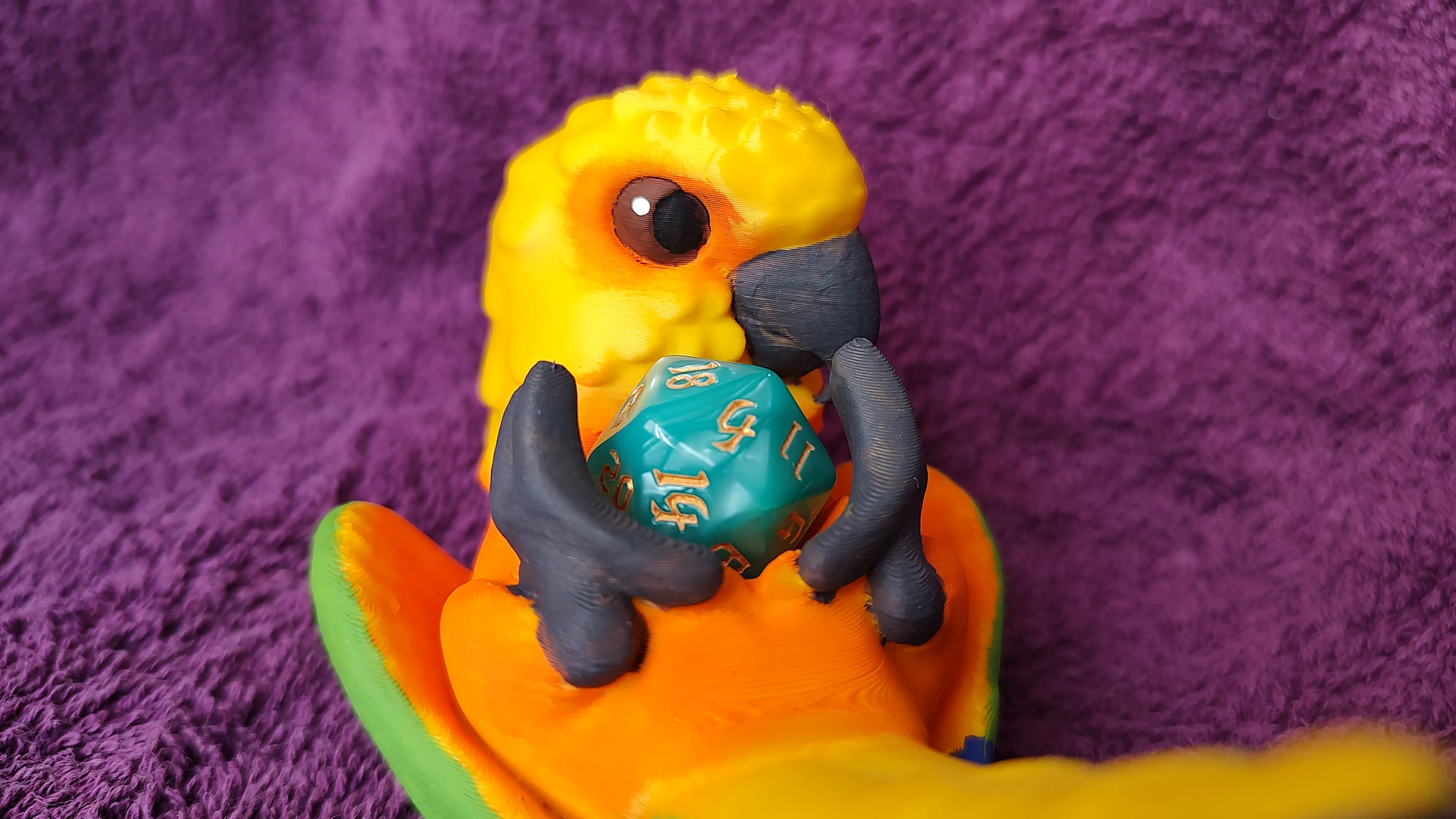 Conure Dice Guardian