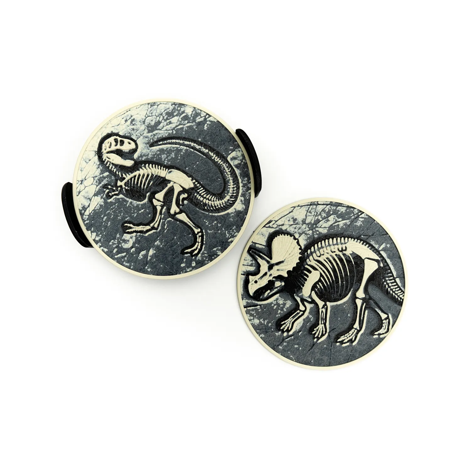 Dinosaur Fossil Coasters