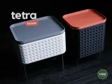 tetra · boxes-0