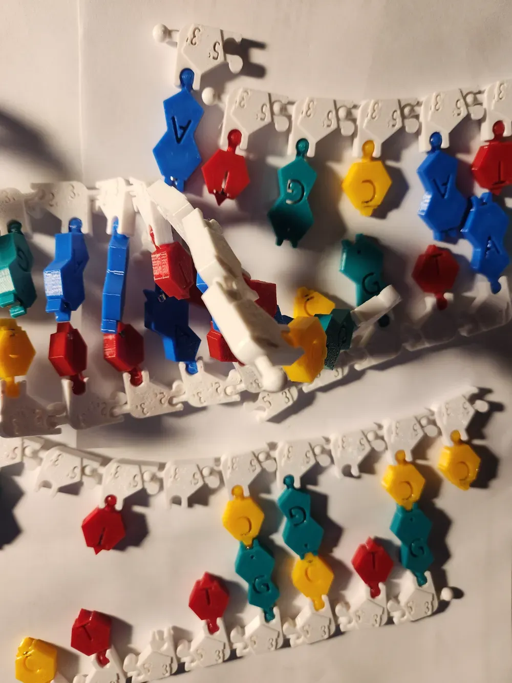 Spooky mutation possible DNA/RNA Magnetic model kit activity