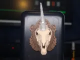 🦄 ユニコーンスカルトロフィー-1