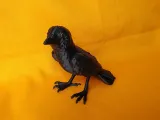 Crow-4