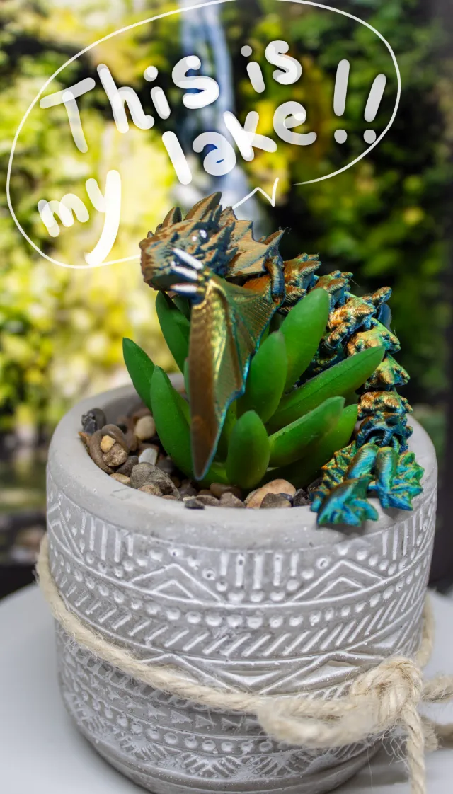 Amphiptere Flexible Baby Dragon-0