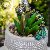 Amphiptere Flexible Baby Dragon-0