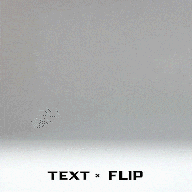 Text Flip - Kangaroo