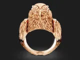 Eagle Ring-5