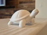 tortue déco-3