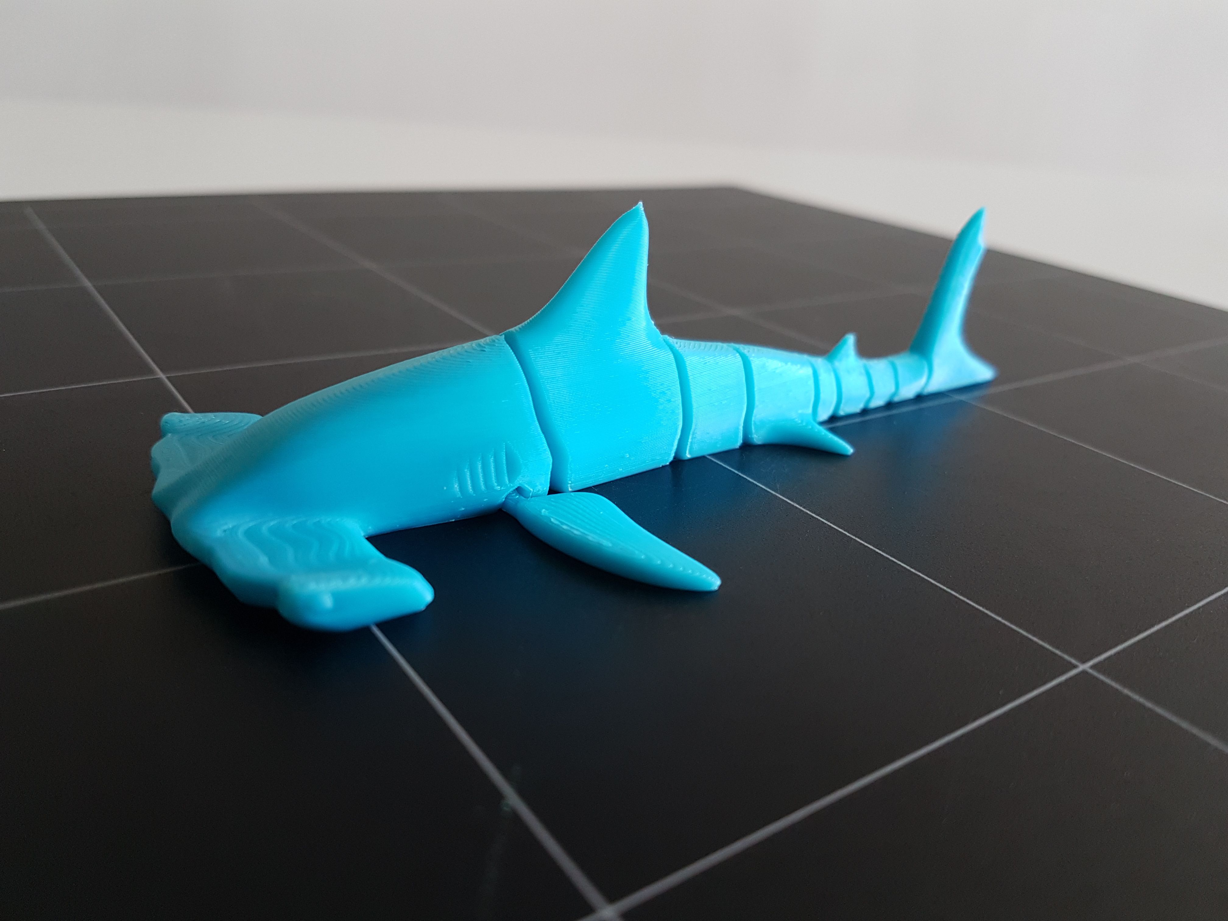 Hammerhead Shark Flexi | 3D models download | Creality Cloud