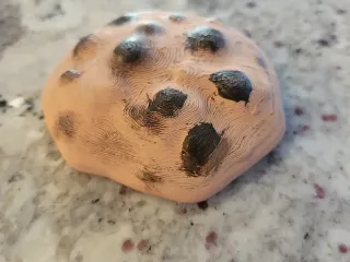 Chocolate Chip Cookie (model)
