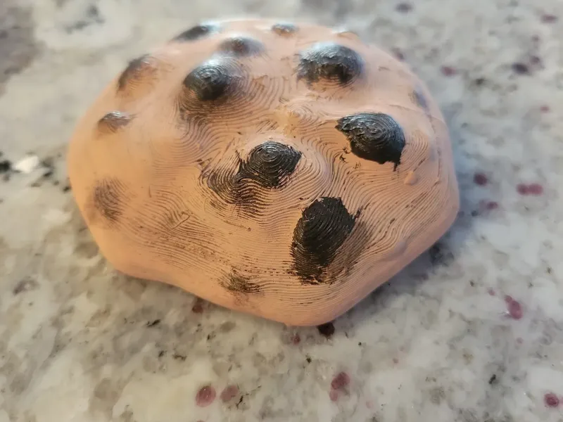 Chocolate Chip Cookie (model)