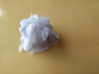 Resin Printer Basic Test No.9