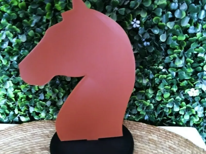 Decoratie silhouet paard