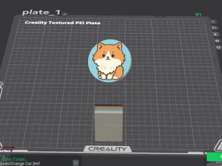 Orange Cat