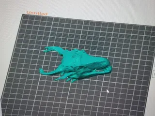D&D Style Dragon Skull