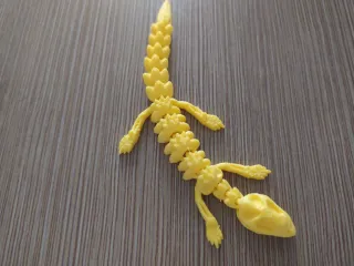 Dead Lizard