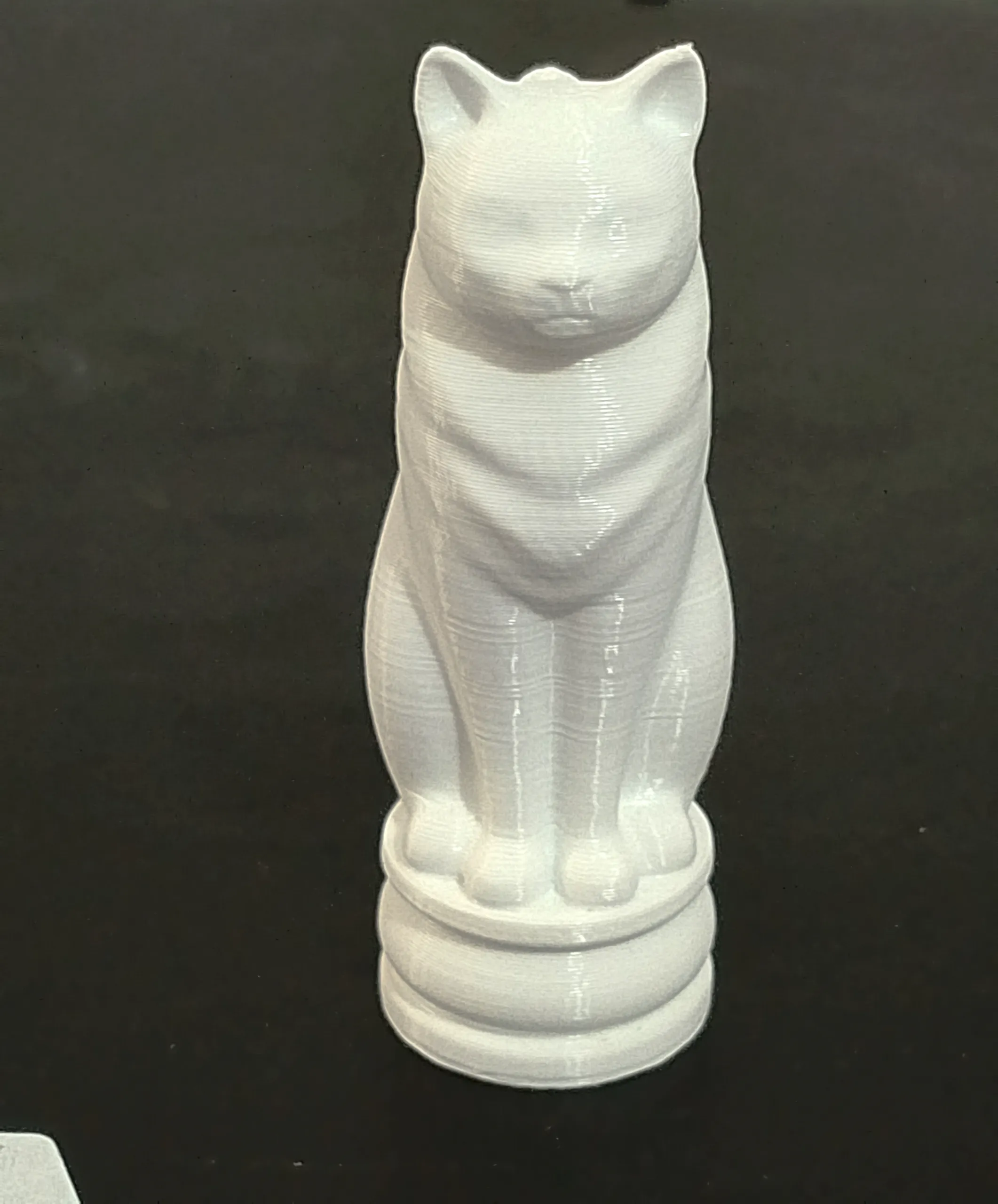 Cat Chess - Battle for Land-7