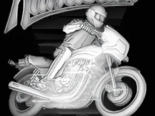 Placka Kawasaki