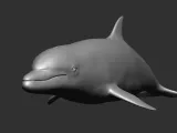 dolphin-0