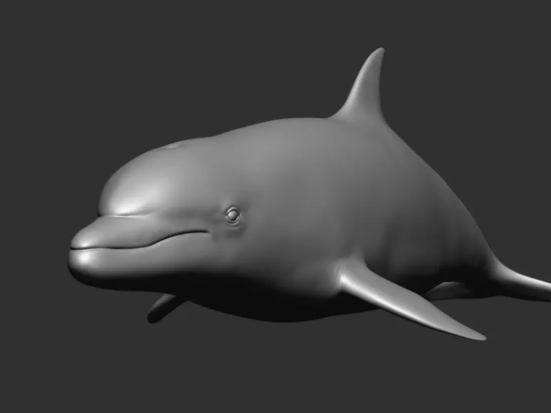 dolphin