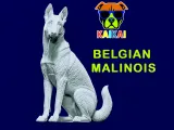 Malinois Sheepdog - Belgian Shepherd model - 3D print-1