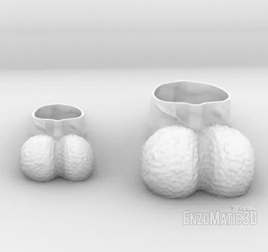 cock pot male body planter pencil holder STL