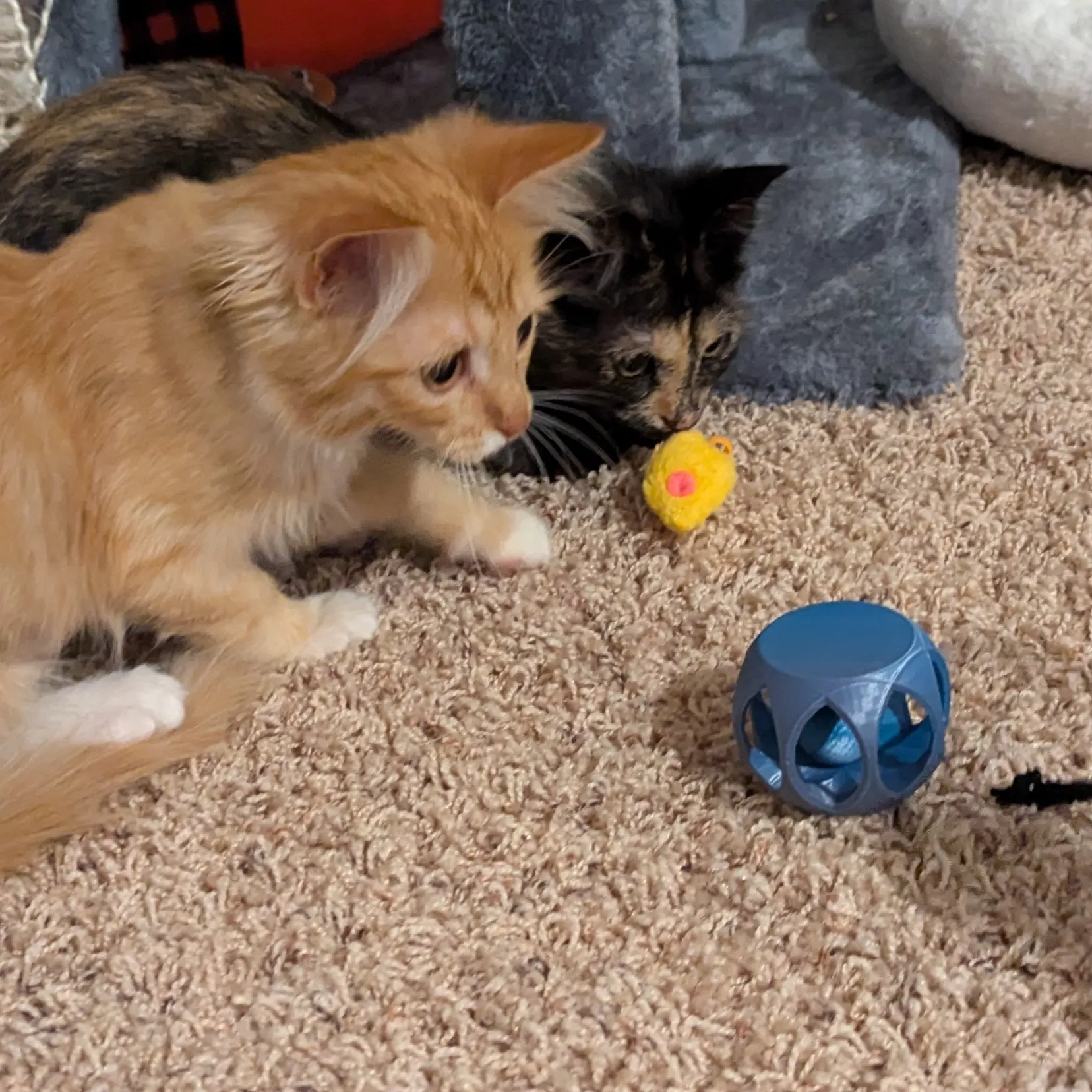 Cat Roller Ball Toy