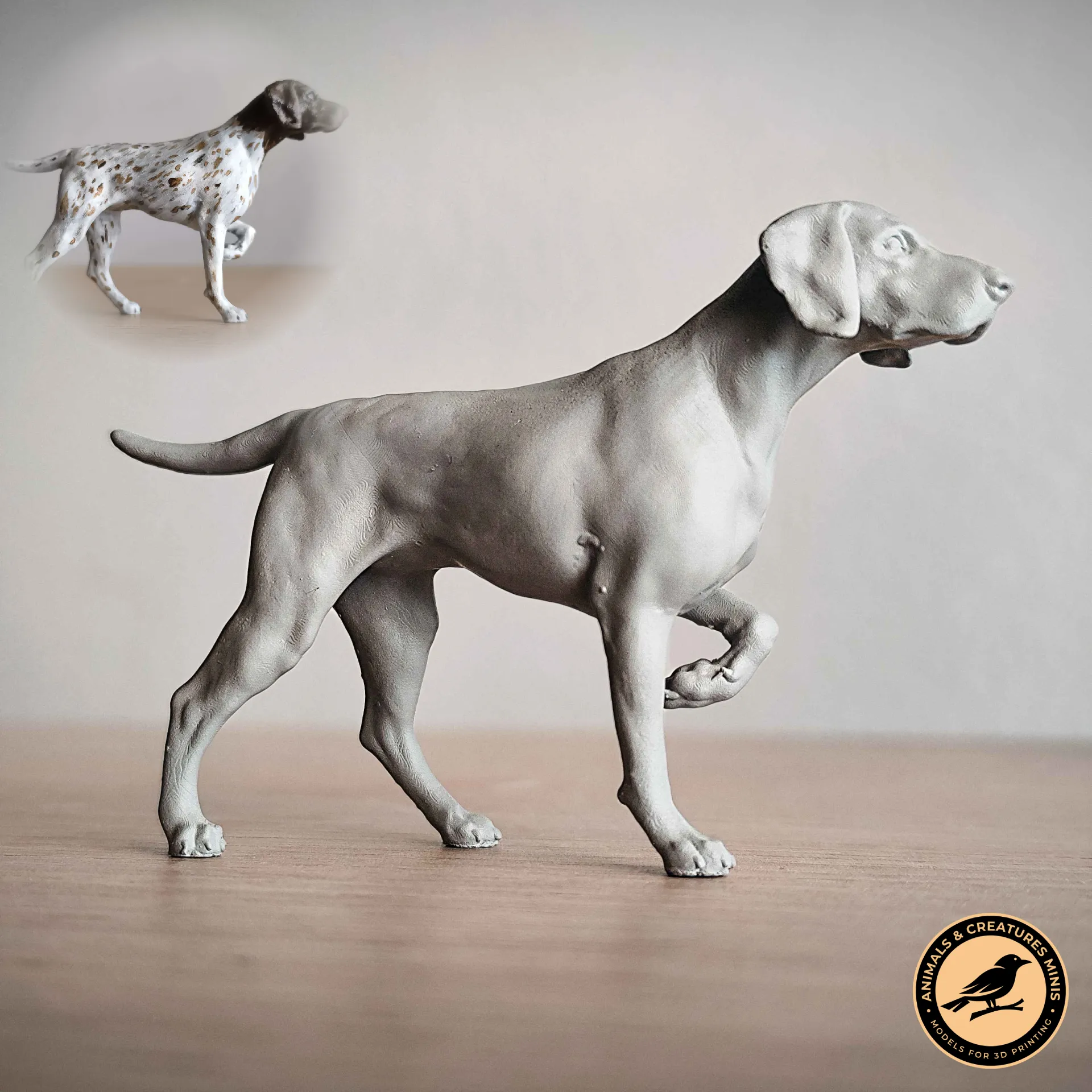 German Shorthaired Pointer