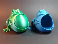 Frog keeps jewelry (not support)-1