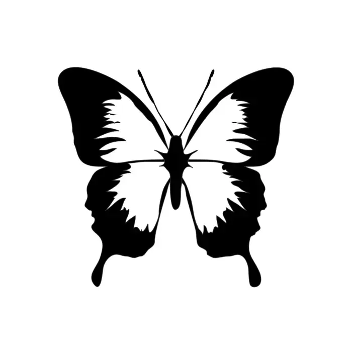 Butterfly Wall Art