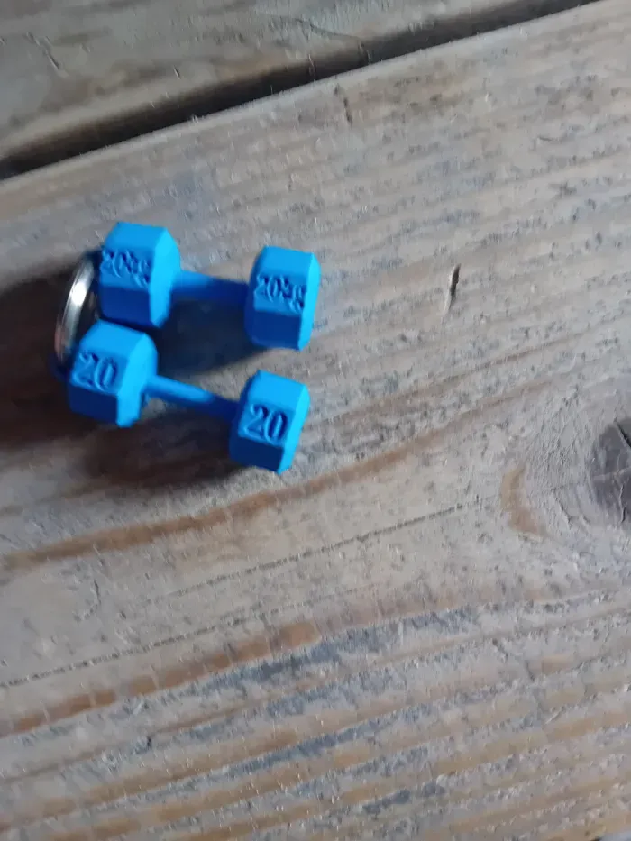 Home print settings: dumbell keychain.3mf
