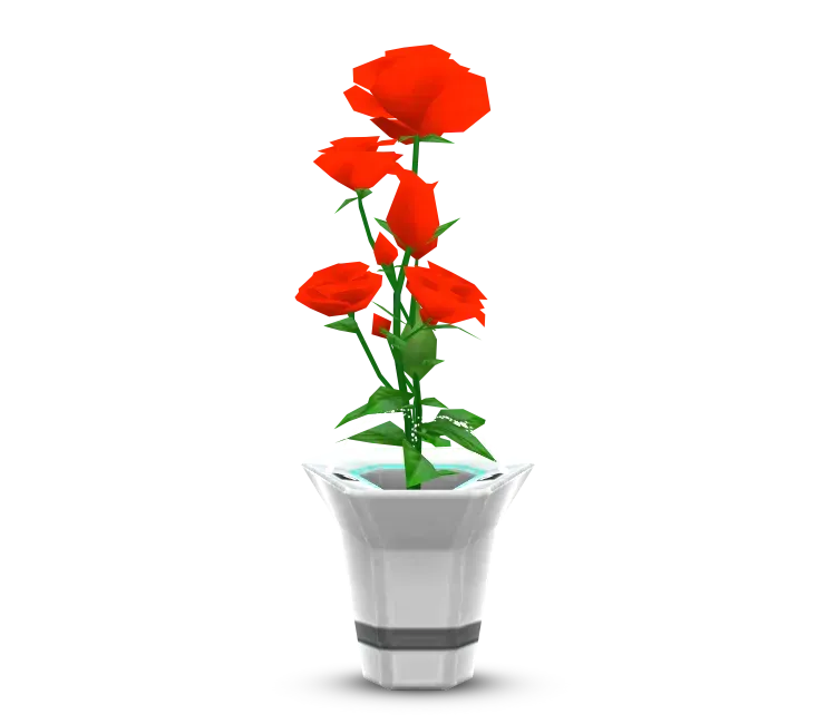Potted Roses