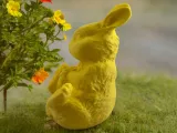 BUNNY REAL EASTER EGG-2