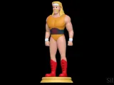 Hulk Hogan - Hulk Hogan's Rock 'n' Wrestling-1