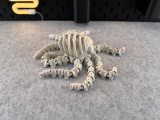 Articulated Skeleton Octopus-4