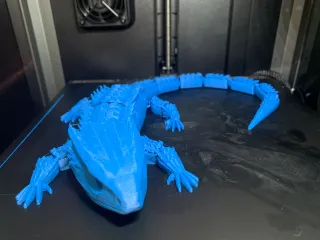 Red Eyed Crocodile Skink